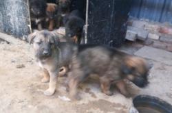 赤峰大庫衛(wèi)浴電話號碼多少號