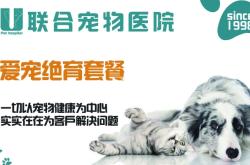 赤峰聯(lián)合動物醫(yī)院電話多少號