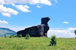 赤峰撿野鴨蛋電話(huà)是多少號(hào)