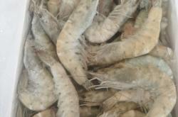 赤峰大蝦批發(fā)電話多少號