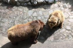 赤峰機(jī)場動(dòng)物園電話號(hào)碼