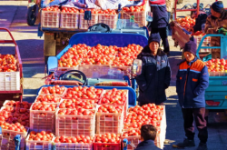 赤峰明運倉儲電話多少號