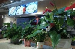 赤峰網(wǎng)紅生煎包店電話號碼