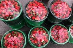 赤峰雨潤(rùn)水果商鋪電話號(hào)碼查詢(xún)