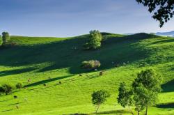 赤峰六道窩鋪電話地址查詢
