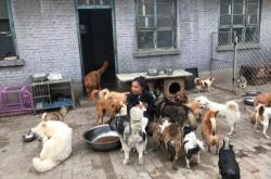 赤峰狗狗收養(yǎng)中心地址電話號碼