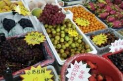 赤峰路水果店電話地址查詢