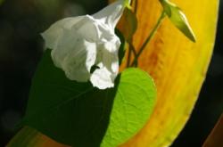 赤峰黑心代駕電話號(hào)碼多少