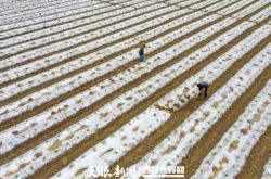 赤峰烤煙合作社電話地址查詢