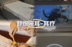 赤峰哪有采耳的