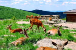 赤峰雙通駕校催教練電話號(hào)碼