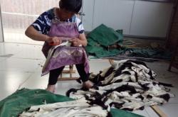 赤峰貂皮服裝加工廠電話號(hào)碼