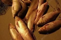 赤峰水泉釣魚(yú)場(chǎng)電話多少號(hào)