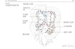 赤峰附屬醫(yī)院腸鏡科電話號(hào)碼