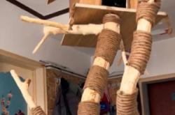 赤峰貓木屋書店電話號(hào)碼查詢