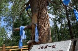 赤峰到阿爾山公交車電話號碼