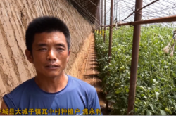 赤峰大城子市場電話號碼查詢