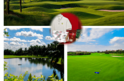 赤峰美辰房產(chǎn)電話是多少號(hào)