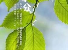 赤峰回收枯樹(shù)葉電話地址查詢