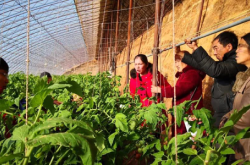 赤峰種植基地公司電話號(hào)碼查詢