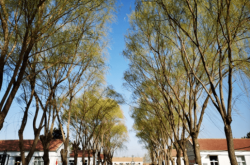 玉田到赤峰小車電話號(hào)碼多少