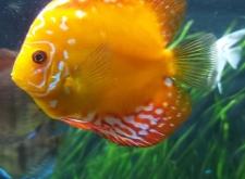 赤峰魚店水族館電話號(hào)碼