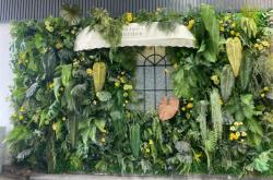 赤峰植物墻廠商電話號(hào)碼查詢