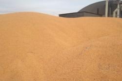 赤峰賣生玉米的電話地址是多少