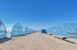 赤峰市農(nóng)業(yè)問題投訴電話是多少