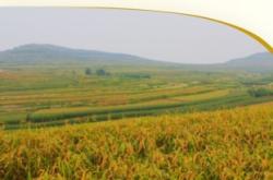 赤峰小米加工廠招聘電話號碼