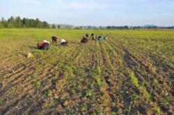 赤峰精品手機(jī)批發(fā)商電話號碼