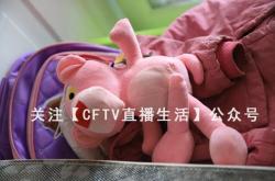 赤峰賣(mài)玩具推薦店電話號(hào)碼