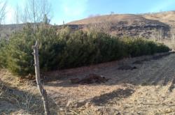 赤峰橋北松樹園社區(qū)電話號碼