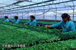 赤峰寧城蔬菜基地電話號(hào)碼