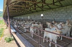 赤峰養(yǎng)殖場(chǎng)