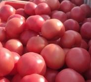 赤峰市批發(fā)部電話號碼