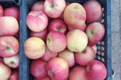 赤峰街邊賣蘋果電話號碼是多少