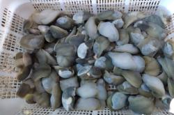 赤峰二龍燒烤地址電話號(hào)碼