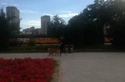 赤峰繁花體驗館電話號碼查詢