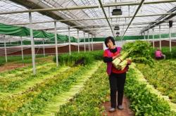 赤峰烤煙合作社電話號碼