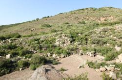 赤峰蒙帝酒館電話號碼多少