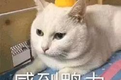 赤峰同城相親群電話號(hào)碼查詢