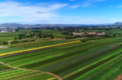 赤峰市種兔廠地址電話號(hào)碼