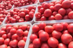 赤峰苯板加工廠電話號(hào)碼