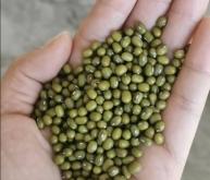 赤峰綠豆產(chǎn)業(yè)園電話地址查詢