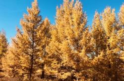 赤峰南臺(tái)子屬于哪里