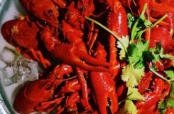 泰象餐廳赤峰店電話地址查詢