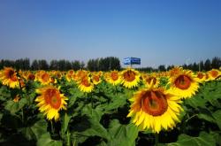 赤峰紅山區(qū)天順駕校電話號碼