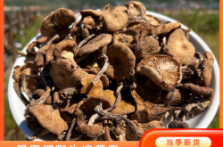 赤峰寧城井灌管廠電話地址查詢