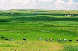 北京到內(nèi)蒙赤峰順風(fēng)車電話號碼